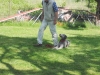 obedience_05_2_2014_017